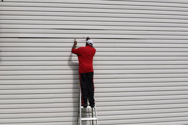 Best Vinyl Siding Installation  in New Haven, WV